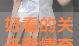 奇爱网在线观看完整版,揭秘虚拟世界的奇幻之旅